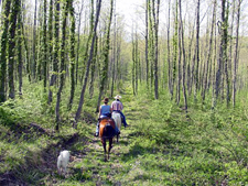 Italy-Abruzzo/Molise-Colle dell'Orso - through the Valley of the Bear